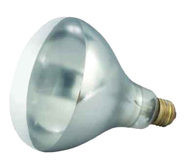 WINCO CLEAR HEAT LAMP BULB FOR EHL-2, 250WATT