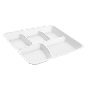 6055 R3 REYMA 5 COMPARTMENT  FOAM TRAY, 500/CS